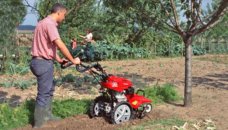 Як вибрати і який мотокультиватор купити?